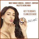 INSIGHT Cosmetics Pro Natural Powder Concealer Palette - Corrector, 15gm Buy Online at Best Price in UAE - Amazon.ae - Image 13