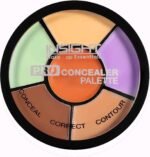 INSIGHT Cosmetics Pro Natural Powder Concealer Palette - Corrector, 15gm Buy Online at Best Price in UAE - Amazon.ae